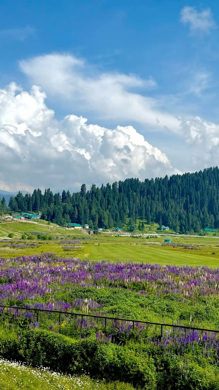 Srinagar to Pahalgam | Valley Exploration